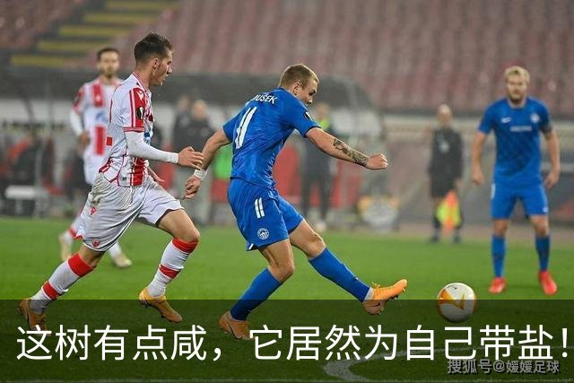 这树有点咸，它居然为自己带盐！古人没盐了就找这种树救急！